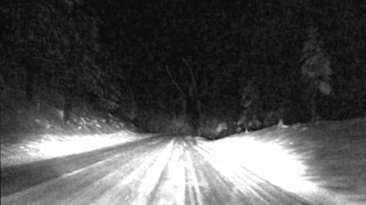 2014 06 18 - The Wanderer Creepypasta Joe Winko