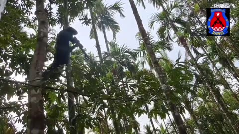 🌳🔫 Myanmar War | PDF Sniper Targets Junta Bunker Near Dawei | RCF