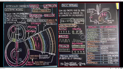 SAVIA REGULAR 2025 | Semana 06 | Anatomía