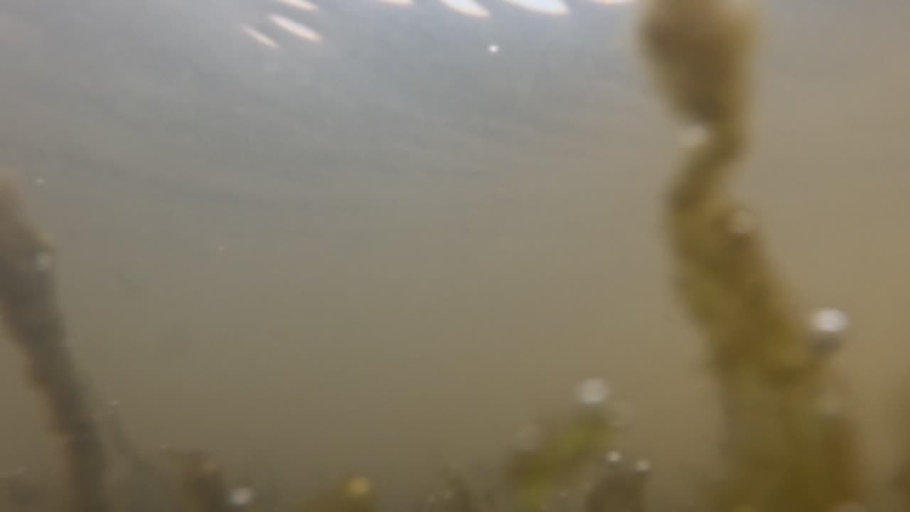 Cloudy water