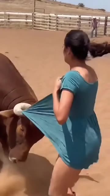 Massive Bull Rushes the Arena Fence — One Sudden Move Turns the Rodeo Into Chaos