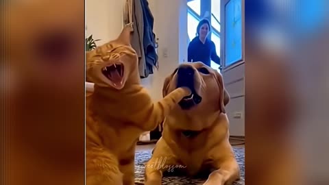 My Younger Sibling in Front of Our Parents 😂😭