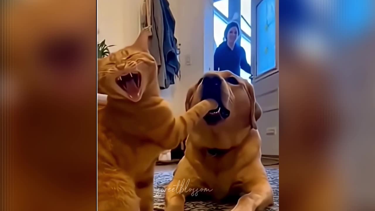 My Younger Sibling in Front of Our Parents 😂😭