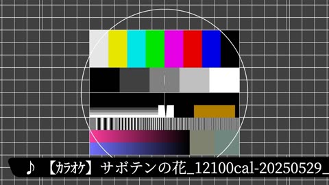 【ｶﾗｵｹ】サボテンの花_12100cal-20250529_03