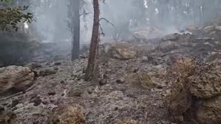 Fires also in the north: 9 active hotspots, 20 fire crews in the field