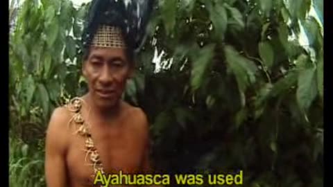amazon shamans