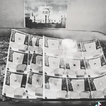 Tim Rifat TikTok Videos