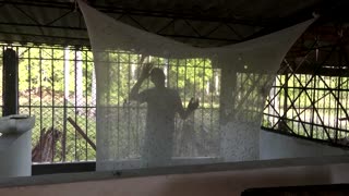 This former Cuban doctor breeds flies for fish feed