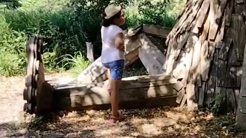 troll hunt part 2