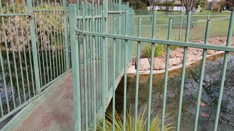 Barooga-Botanic Gardens NSW