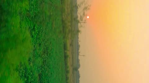 Sun set