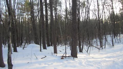 When will the Iran US war begin? I think I know.