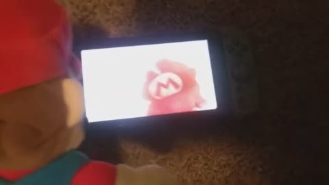 SSB： Mario's New Game