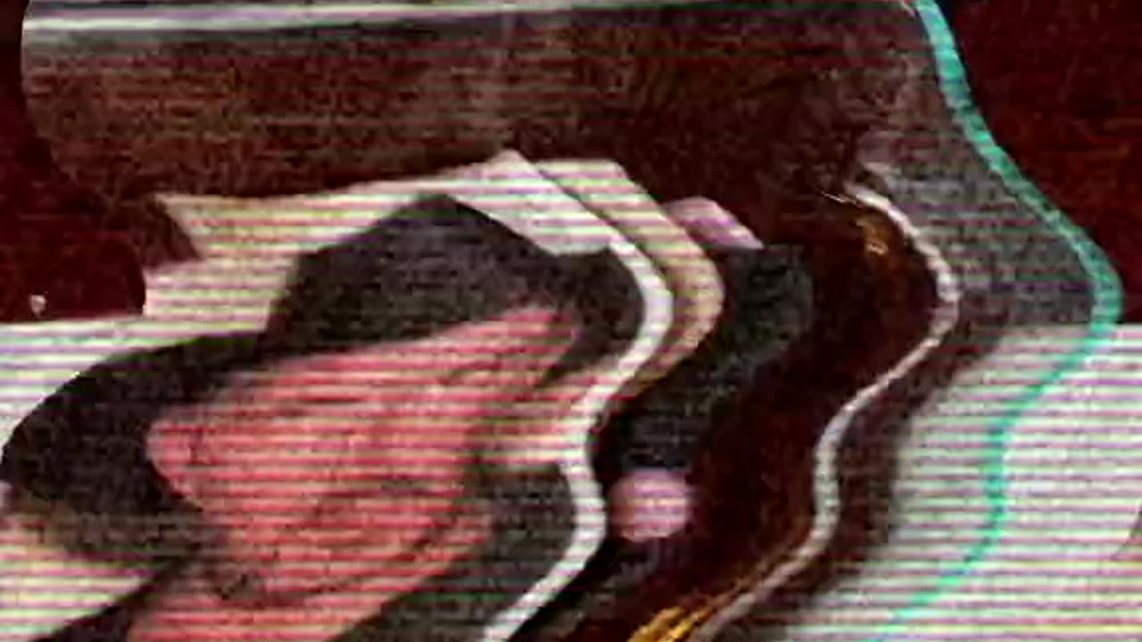 Tim Rifat TikTok Videos