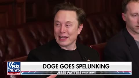 'IT'S LIKE FLINTSTONES': Elon Musk exposes feds using 'prehistoric' tech to retire employees