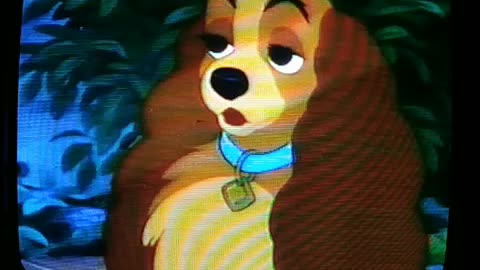 11. Lady and the Tramp VHS (1987)