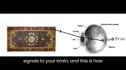 The Ganglion Cell Layer Provides Mathematical Proof that God Exists
