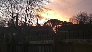 When the Weather Says NO to Gardening 😩🌧️