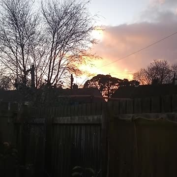 When the Weather Says NO to Gardening 😩🌧️