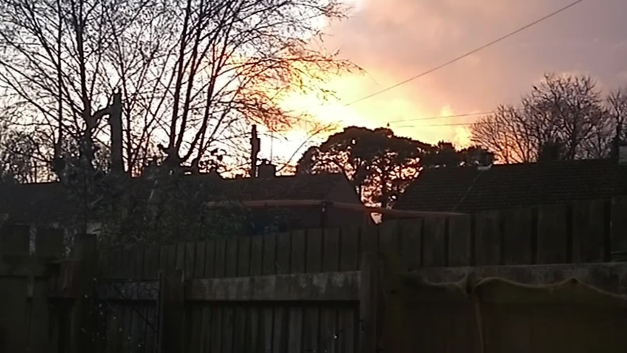 When the Weather Says NO to Gardening 😩🌧️