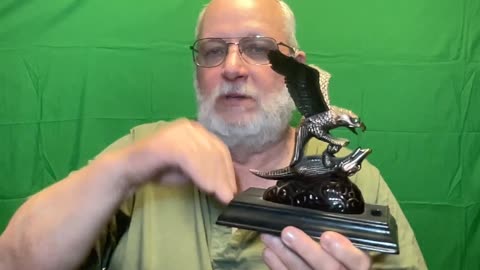 Eagle vs Gator