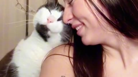 Cat's comedy Videos 🤣 so cute videos 😍