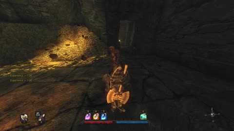 [2/3] Risen (The Order) - Episode 23.1 - EXP Exploit [NC]