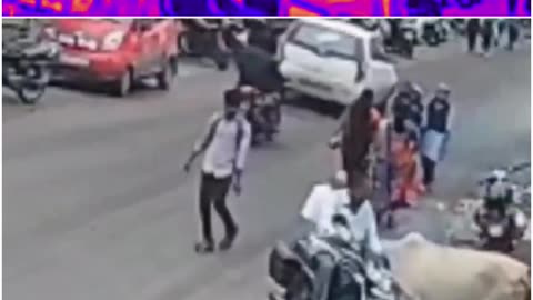 Stray Cows Kill 85-Year-Old Man in Nashik — Shocking Attack Caught on Camera!