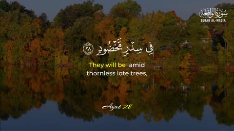 Surah Al-Waqi’ah | The Truth You Can’t Escape – Prepare Before It’s Too Late