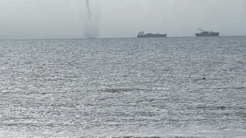 Pelicans Dive Into Ocean in Front of Towering Waterspout