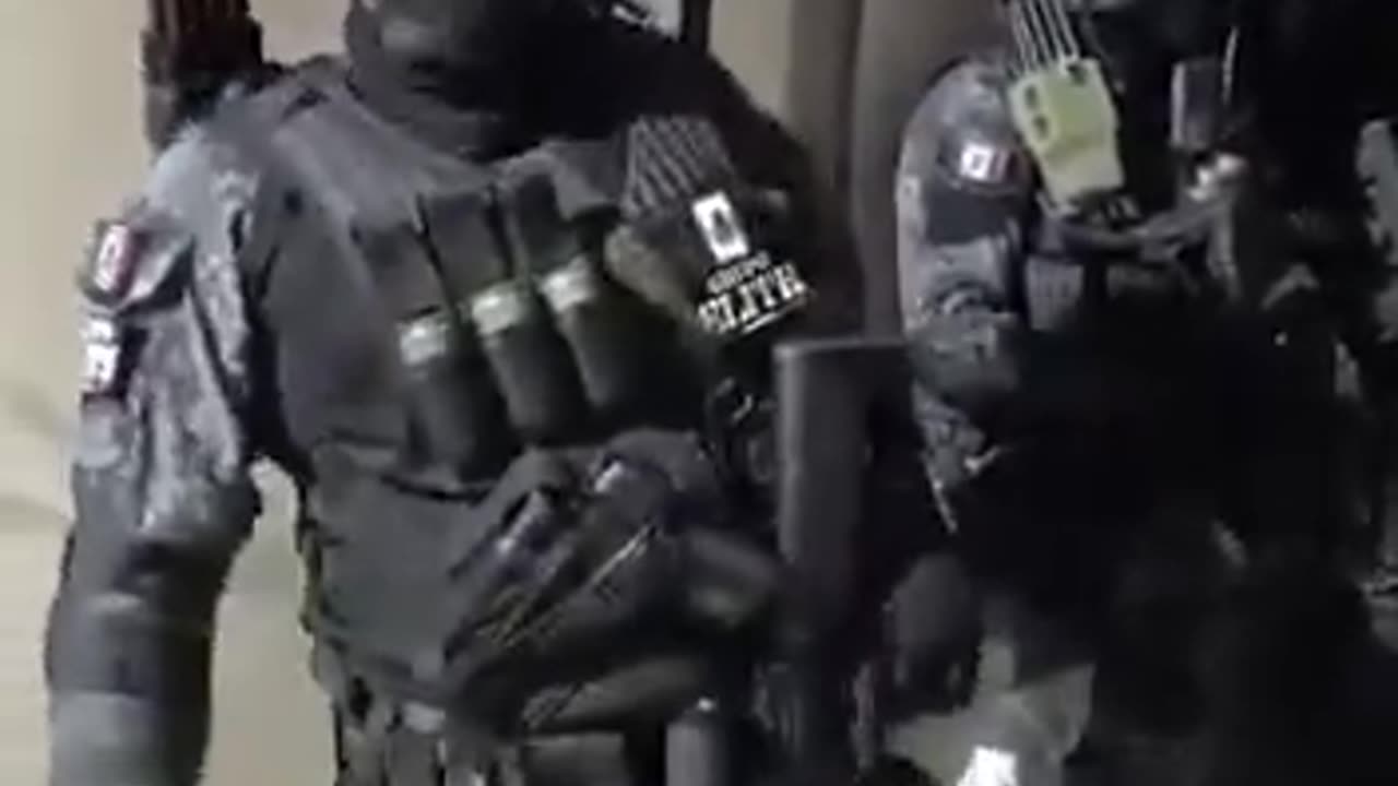 Mex🇲🇽 Terror Cartels, Not Special Forces.