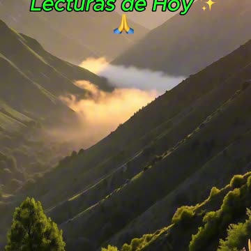 🙏✨ Oración Inspirada en las Lecturas de Hoy ✨🙏