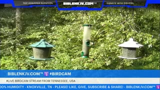 BIBLENKJV.COM™ 🛐 09/03/2025 #LIVE #WEATHER #KNOXVILLE