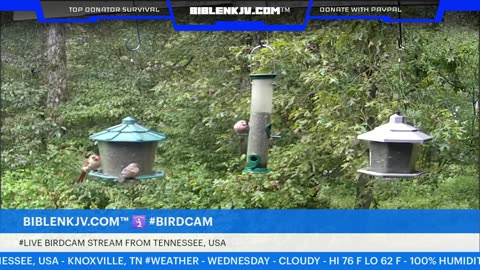 BIBLENKJV.COM™ 🛐 09/03/2025 #LIVE #WEATHER #KNOXVILLE