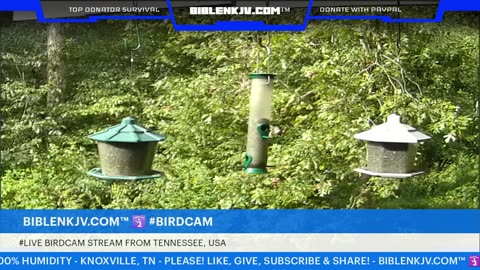 BIBLENKJV.COM™ 🛐 09/03/2025 #LIVE #WEATHER #KNOXVILLE