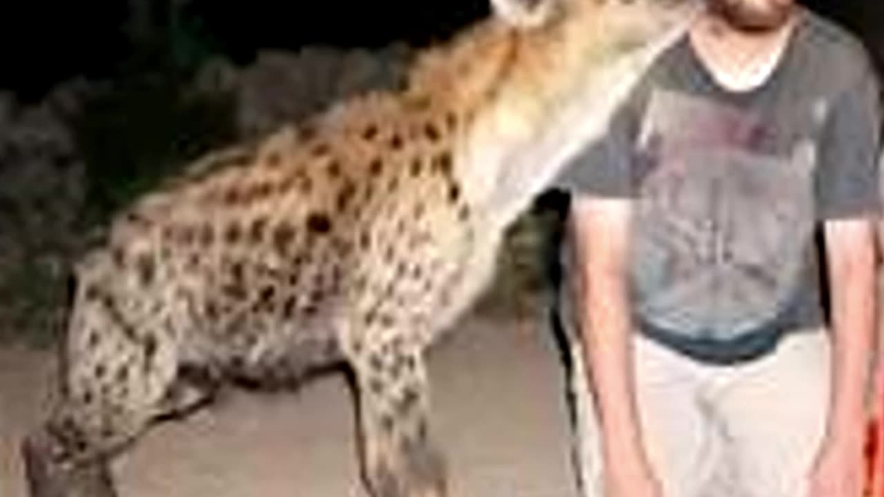 TRY NOT TO LAUGH CHALLENGE 🤣 Funny memes #funny #funnyjokes #shortsviral
