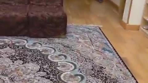 Another Mosque has popped up in Clonskeagh Co Dublin. OP @paulnolan19164