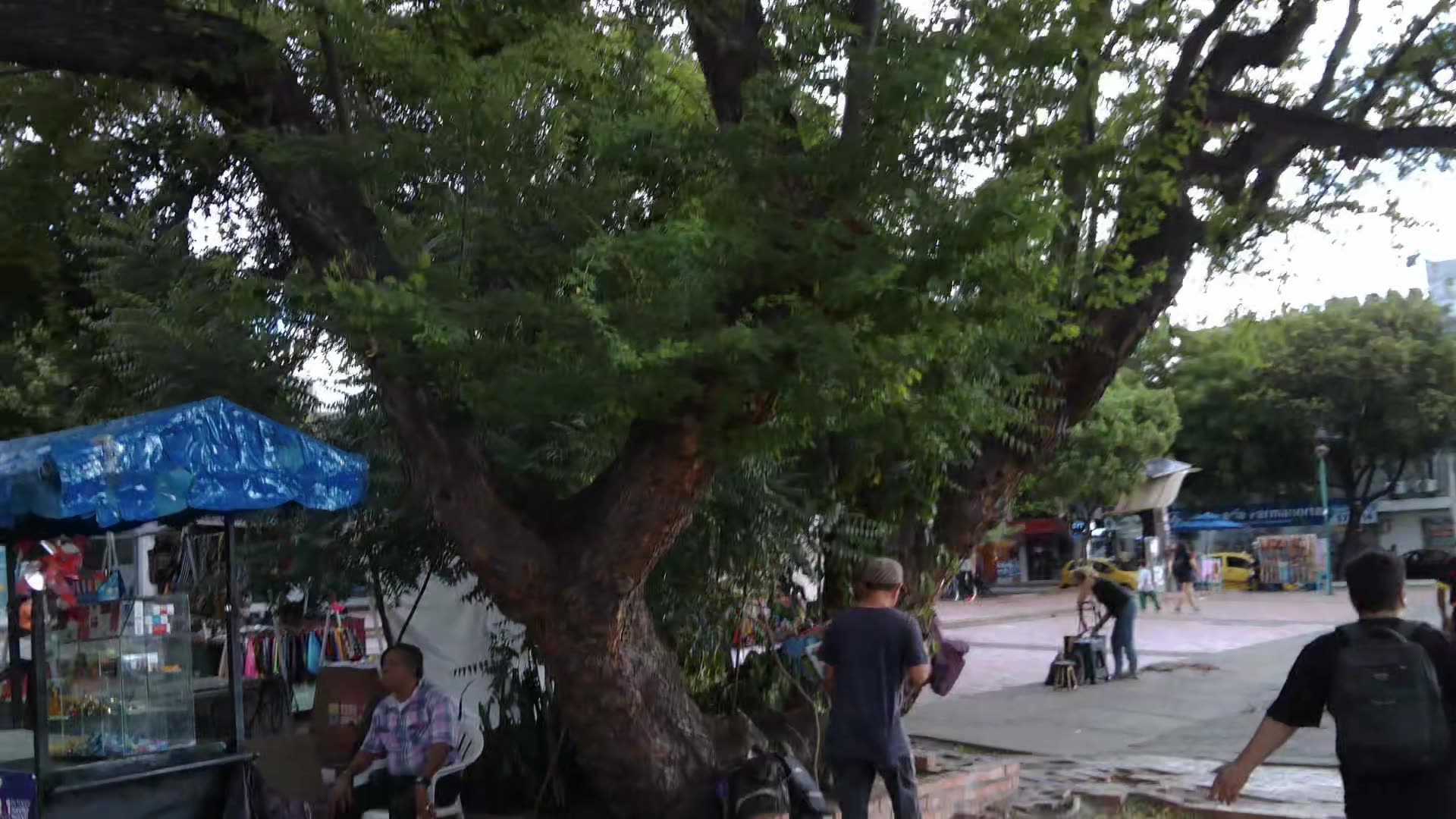 Cucuta Santander Colombia (junio 2025)