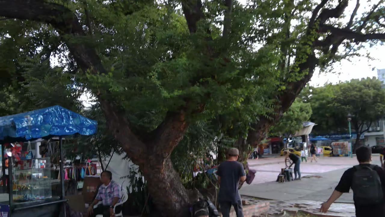 Cucuta Santander Colombia (junio 2025)