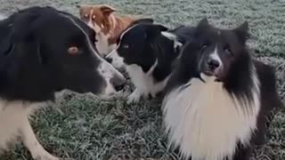😂 Run on the count of 3! | FunFM
