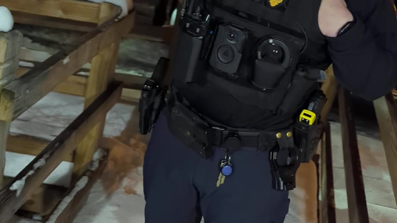 "I'm not a pig... I'm a DAWG!" (December 2025)