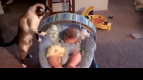 Funny kids and cats!