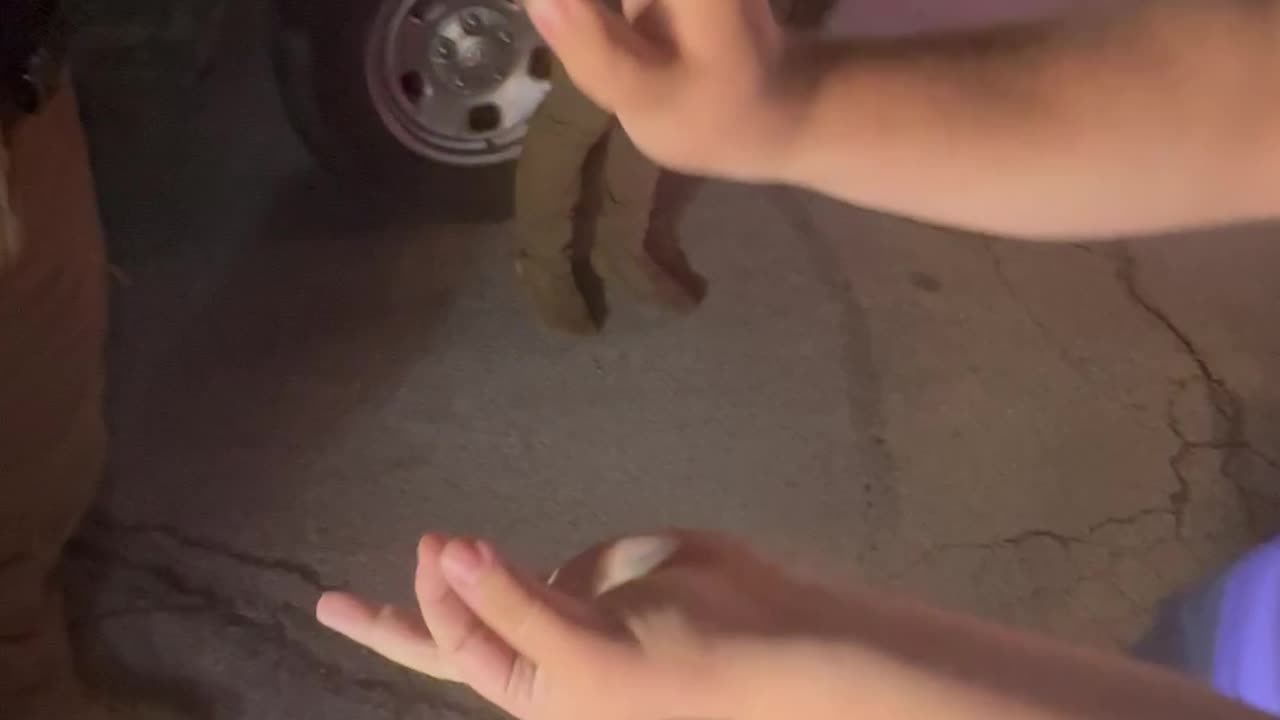 Magician Gets Out of Speeding Ticket
