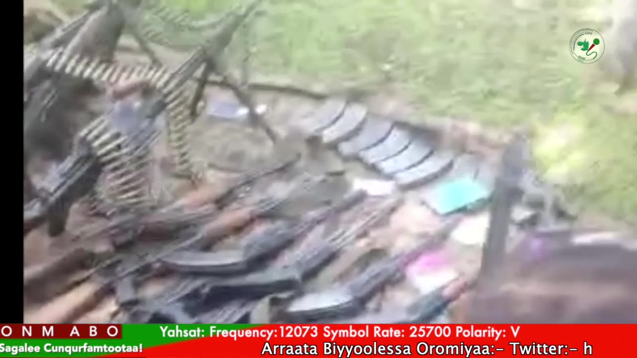 Gabaasa Tarkaanfii ONM-ABO Ebla 23-2025 itti dhiyaadhaa!