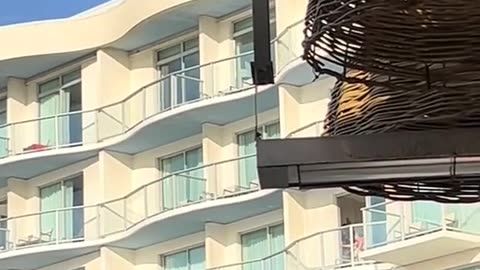😂💥 You Can't Miss This Hilarious Moment! Someone's Getting Busy | FunFM
