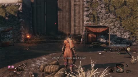 Sekiro_ Shadows Die Twice - Blazing Bull Boss Fight