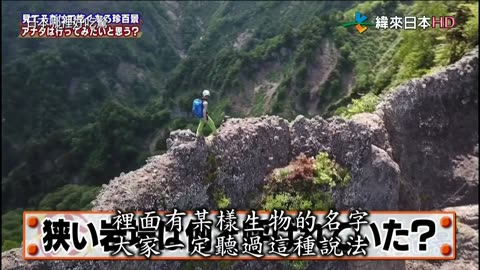 20221116_ナニコレ珍百景