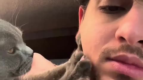 Funny cats and dogs videos 😂😂 #pet #funny #dos #cats #animals
