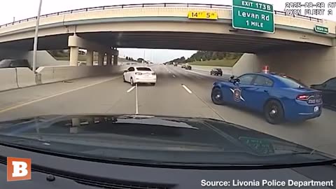Michigan officers utilize a grappling device to prevent a car thief from escaping