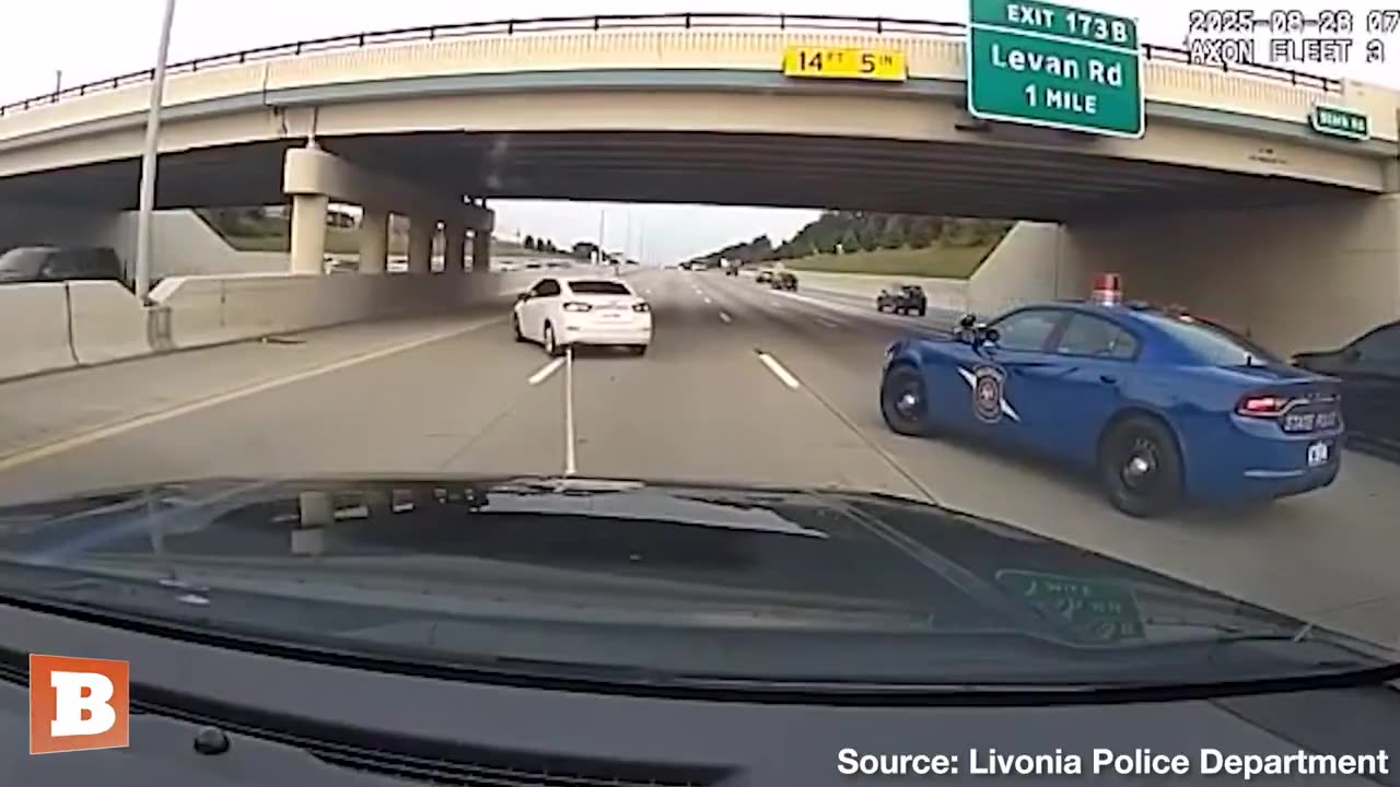 Michigan officers utilize a grappling device to prevent a car thief from escaping